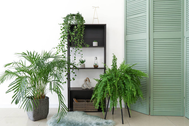 緑の観葉植物と部屋のスタイリッシュなインテリア - 写真・画像