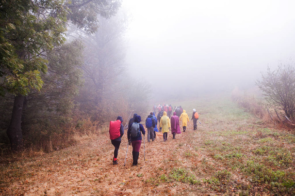 Visão traseira de pessoas irreconhecíveis caminhadas em um dia chuvoso na natureza
 - Foto, Imagem