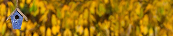 Bird House το φθινόπωρο ηλιοφάνεια Golden Leaves Πανόραμα Web Banner - Φωτογραφία, εικόνα
