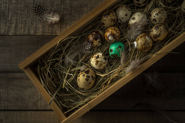 Перепелиные яйца в гнезде - Фото, изображение