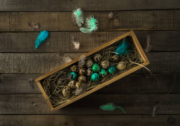 quail eggs in the nest - Foto, Imagen