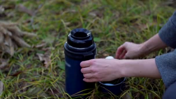Αγνώστων στοιχείων γυναίκα ρίχνει ζεστό τσάι από θερμός μπουκάλι στο κύπελλο. Πικνίκ στο πάρκο φθινόπωρο - Πλάνα, βίντεο