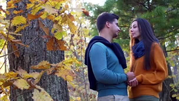 Aantrekkelijke jongeman en vrouw kijken elkaar liefdevol aan in zonnig herfstbos - Video