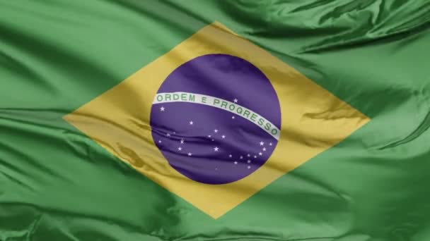 Σημαία της Βραζιλίας Ρεαλιστική 3D - Πλάνα, βίντεο