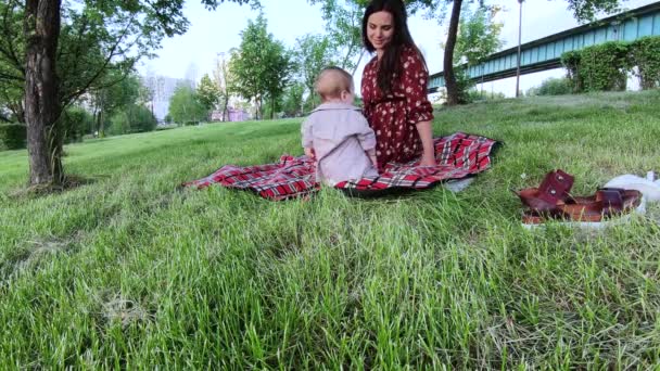Mom with a child at a picnic - Filmati, video