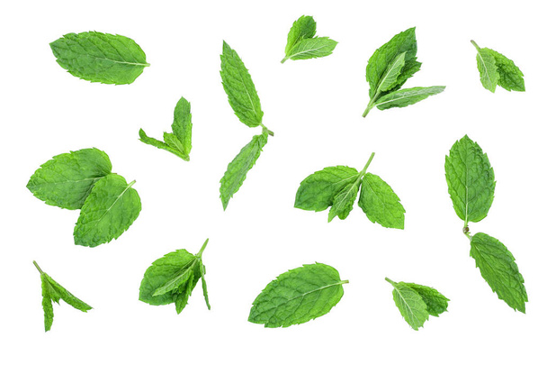 新鮮な緑のミントの葉の孤立した白い背景に、平面図。フラットを置く - 写真・画像
