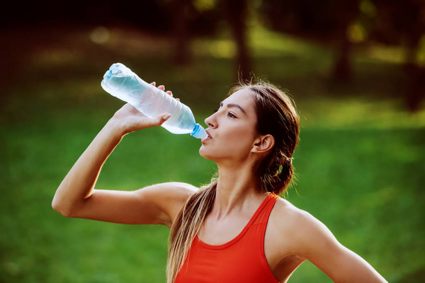 Attractive thirsty caucasian fit brunette in sportswear and with ponytail standing in nature and drinking water. Sunny day in nature. - Photo, Image