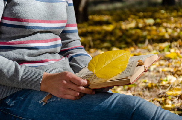 Una mujer de mediana edad o joven, vestida con ropa casual, sentada en un parque de otoño y leyendo un libro. Humor otoñal. Concepto tranquilo. Primer plano.
 - Foto, Imagen
