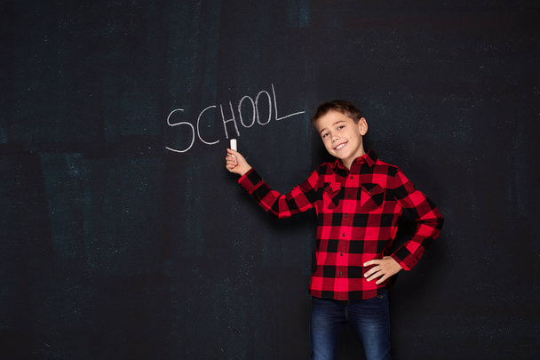Teenage boy in checkered shirt over black chalk board. - 写真・画像