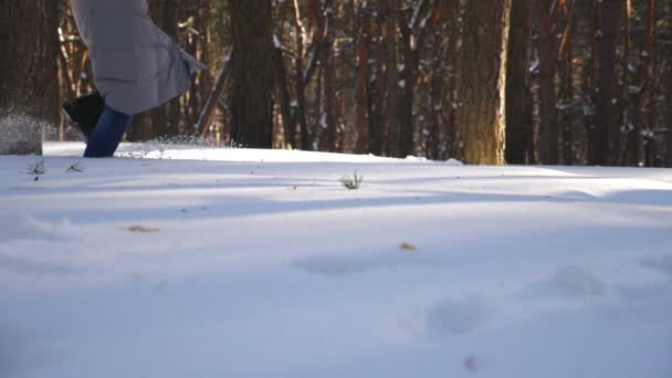 Női láb fut át a téli erdőn. Felismerhetetlen lány kocog a mély hóban. A nő szabadidőben élvezi a szabadságot és a gyönyörű téli napot. Lassú mozgás Alacsony kilátás Dolly lövés - Felvétel, videó