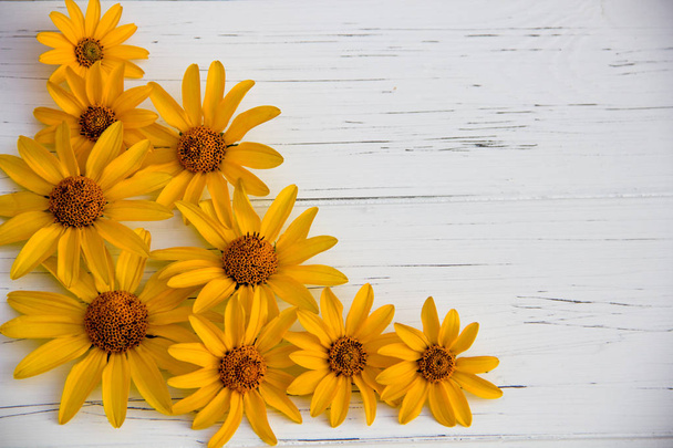 Ahşap bir arka planda sarı çiçekler - Fotoğraf, Görsel