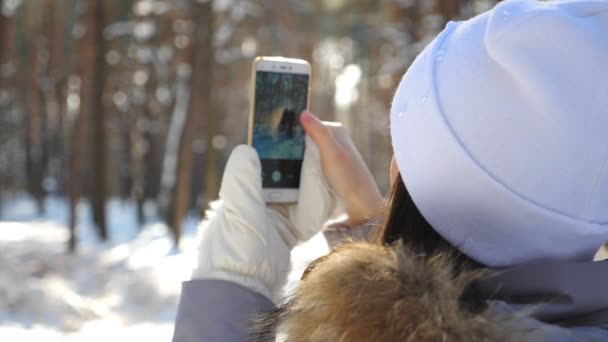 Unrecognizable girl in white cap taking photo of scenic snowy forest on her smartphone. Woman using phone to get beautiful pictures of winter landscape. Lady enjoying holiday at wintertime. Slow mo - Πλάνα, βίντεο