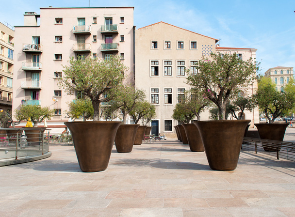 Giant olive tree pots in Marseille, France - Photo, Image