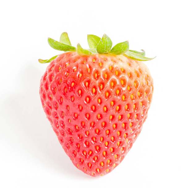 Studio shot one whole organic strawberry isolated on white - Photo, Image