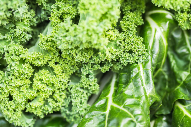 grüne Gemüse Lebensmittel Collage. Grünkohl, Sellerie und Mangold. - Foto, Bild