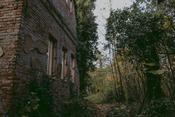 Ruinen der Leichenhalle in Bohnice Friedhof, Urbex in Prag  - Foto, Bild