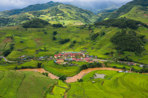Вид сверху с воздуха на рисовые террасы, зеленое сельскохозяйственное поле
 - Фото, изображение