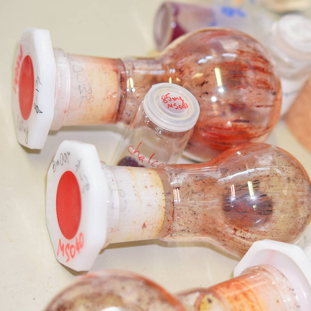 Flaschen und Flaschen mit neuen chemischen Verbindungen, die im Labor synthetisiert werden. - Foto, Bild