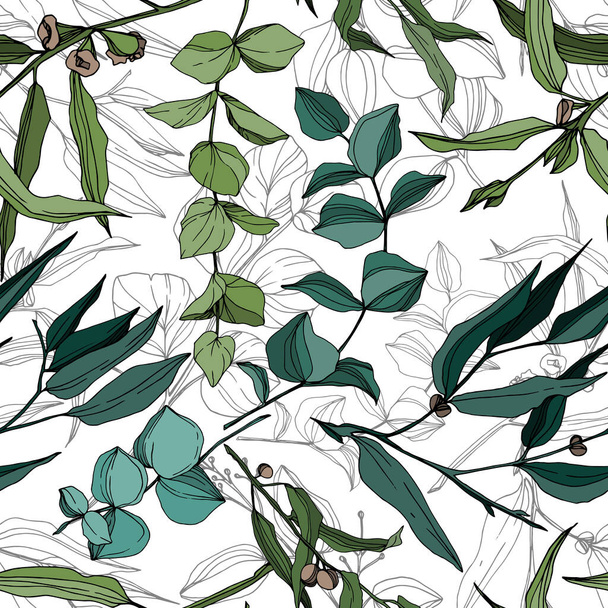Vector Eucalyptus tree leaves jungle botanical. Black and white engraved ink art. Seamless background pattern. - Vektor, Bild