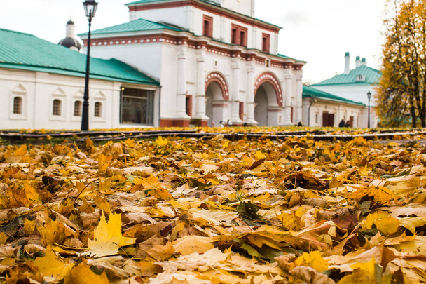 Moscow, Orthodox Gate Church, Museum reserve " Kolomenskoye" - Photo, image