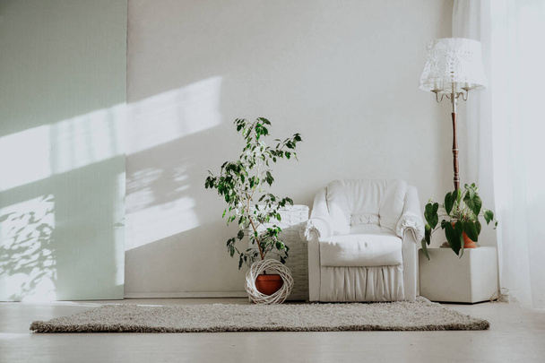 Φωτεινό δωμάτιο με λευκή πολυθρόνα TThis και φυτά στο σπίτι - Φωτογραφία, εικόνα