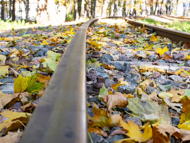 Старые железнодорожные рельсы осенней листвы
. - Фото, изображение
