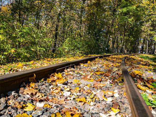 Sonbahar yapraklarında eski demiryolu rayları. - Fotoğraf, Görsel