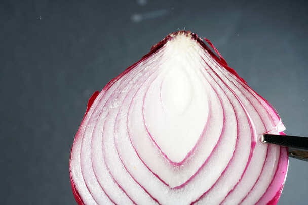 Onion with macro lens photographed in best quality - Φωτογραφία, εικόνα