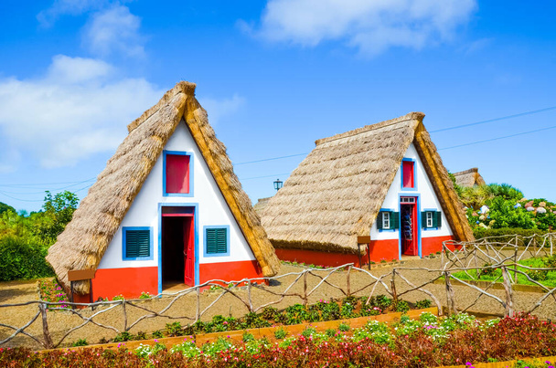 Santana, Madeira, Portekiz 'de geleneksel renkli evler. Küçük, ahşap, sazdan çatılı evler Portekiz adasının mirasının bir kısmını temsil ediyor. Önplanda çiçek bahçesi - Fotoğraf, Görsel
