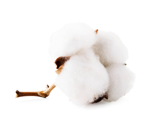 Cotton Bud fechar em cima de um branco. Isolados
 - Foto, Imagem