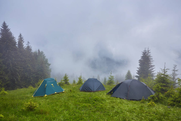 Campeggi e tende nel bosco in montagna
 - Foto, immagini