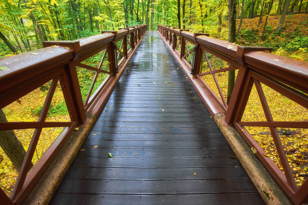 Beautiful wooden bridge in the forest. Colored leaves. - Photo, Image