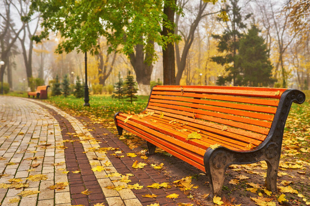 Park padon sikátorban ősszel - Fotó, kép