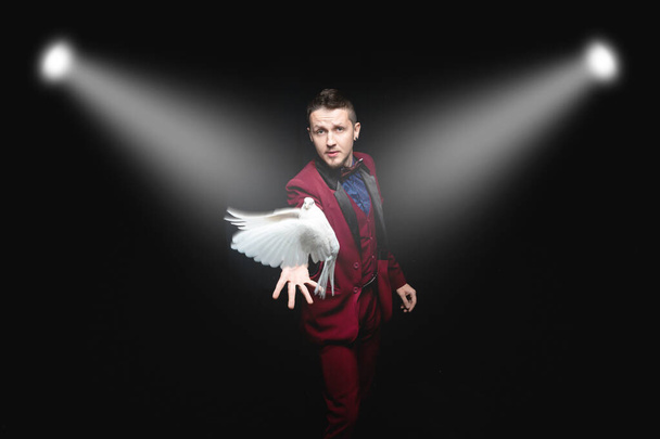 magicien homme montre tour avec formé colombe blanche oiseau - Photo, image