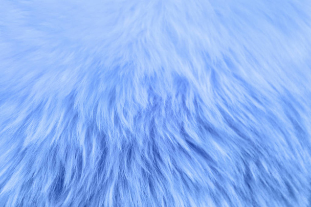 fourrure artificielle chaude sur une base tricotée en bleu exquis gros plan
 - Photo, image
