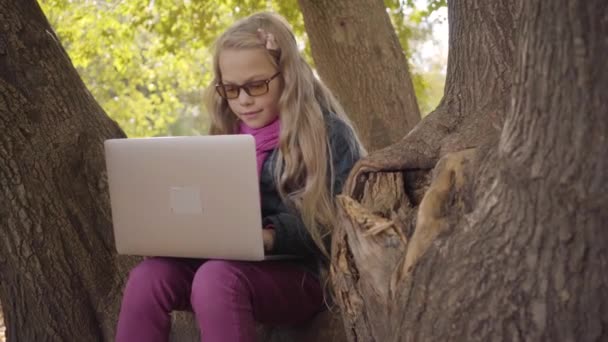 Giovane adolescente caucasica in occhiali fotocromatici seduta con computer portatile nel parco autunnale o nella foresta. Sorridente studentessa intelligente che studia all'aperto
 - Filmati, video