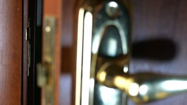 Emberi kéz csukja be az ajtót és zárja be kulccsal. Meghúzta a fémfogantyút, ami megerősíti, hogy zárva van. Közelkép. - Felvétel, videó