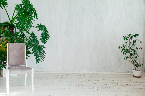 серый стул с домашними растениями в интерьере старинной серой комнаты
 - Фото, изображение
