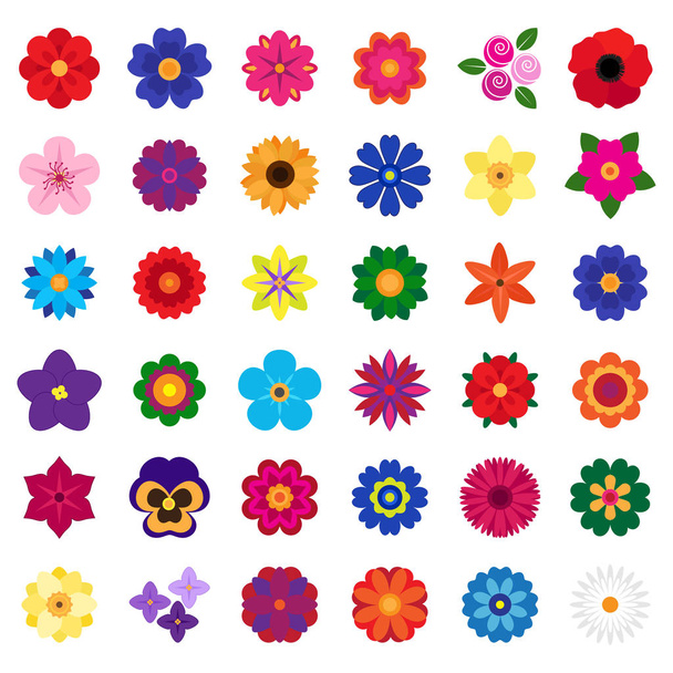 vector collection of colorful flowers on white background - Vektor, kép