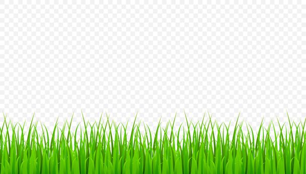 Green Grass Border, field lawn. Vector Illustration - Vector, Image