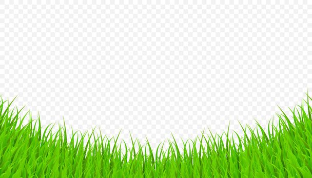 透明な背景に緑の草の要素。ベクターイラスト - ベクター画像
