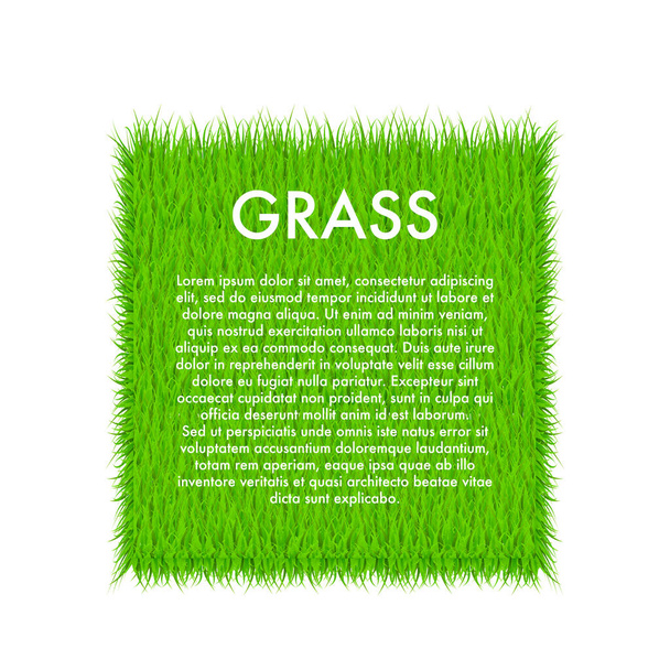 Cirkel met gras, groene gras achtergrond. Een lijst. Vector Illustratie - Vector, afbeelding