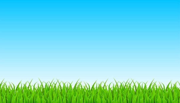 Frontera de hierba verde con cielo. Ilustración vectorial
 - Vector, imagen
