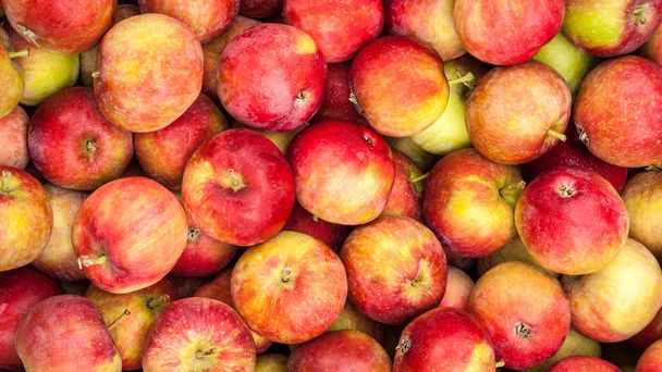 Manzanas rojas maduras se encuentran en el mostrador del mercado del pueblo
 - Foto, Imagen