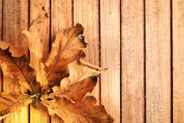 Dirty grunge autumn oak leaves over wooden table with copy space, flat lay - Photo, Image