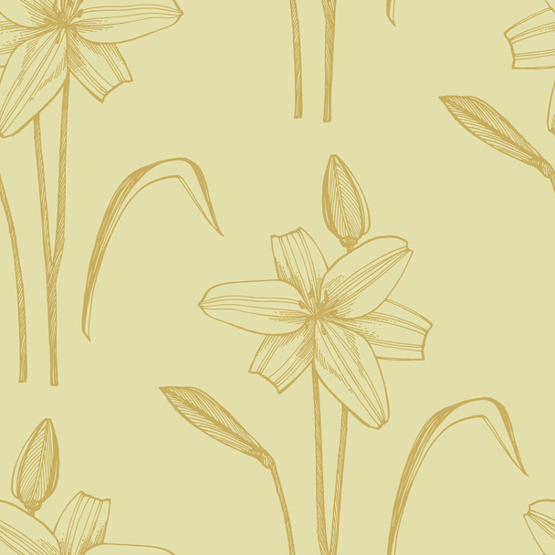 Lily flowers. Botanical illustration. Good for cosmetics, medicine, treating, aromatherapy, nursing, package design, field bouquet Hand drawn wild hay flowers - Vektor, obrázek