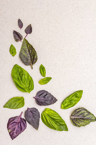 Зелене і фіолетове листя базиліка над кам'яним бетонним фоном
 - Фото, зображення