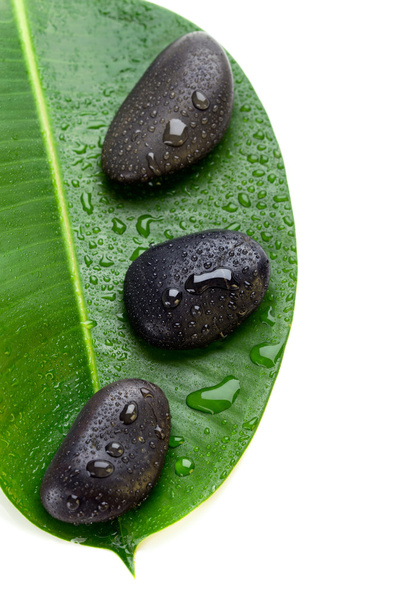 Three wet spa stones on a geen leaf - Zdjęcie, obraz