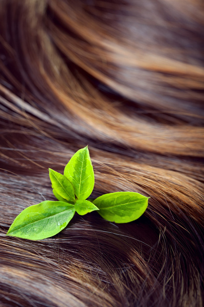 Conceito de cuidado do cabelo: belo cabelo brilhante com destaques e gree
 - Foto, Imagem