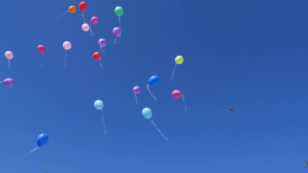 mooie helium ballonnen vliegen door de lucht. Veel kleurrijke ballonnen vliegen in de lucht. vakantieconcept - Video
